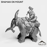 Tabletop Terrain Miniature Exiled Shaman on Mount