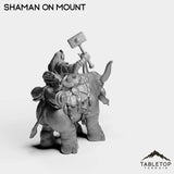 Tabletop Terrain Miniature Exiled Shaman on Mount