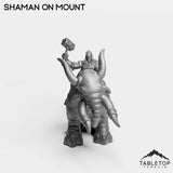 Tabletop Terrain Miniature Exiled Shaman on Mount
