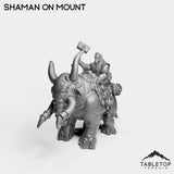 Tabletop Terrain Miniature Exiled Shaman on Mount