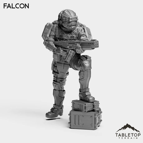 Tabletop Terrain Miniature Falcon - Black Stone Commandos