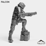 Tabletop Terrain Miniature Falcon - Black Stone Commandos