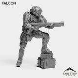 Tabletop Terrain Miniature Falcon - Black Stone Commandos