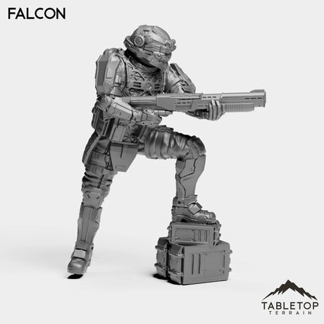 Tabletop Terrain Miniature Falcon - Black Stone Commandos