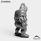 Tabletop Terrain Miniature Fallen Ogre High Mage