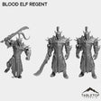 Tabletop Terrain Miniature Full Set Blood Elf Regent