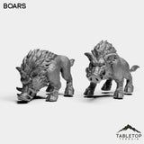 Tabletop Terrain Miniature Full Set Boars