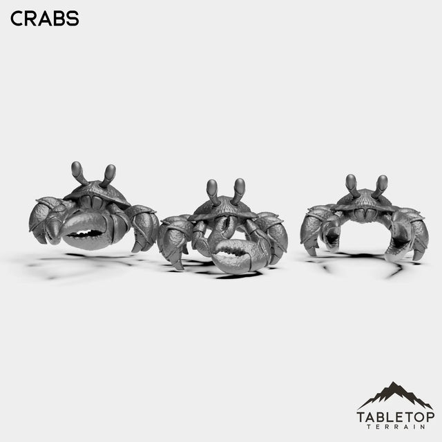 Tabletop Terrain Miniature Full Set Crabs