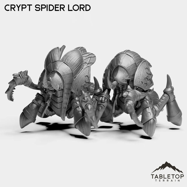 Tabletop Terrain Miniature Full Set Crypt Spider Lord