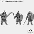 Tabletop Terrain Miniature Full Set Culled Knights Footman