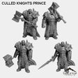 Tabletop Terrain Miniature Full Set Culled Knights Prince