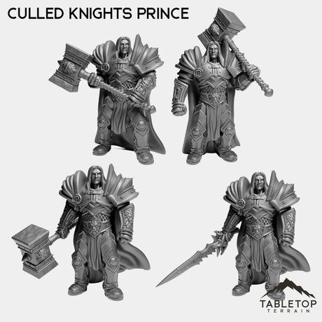 Tabletop Terrain Miniature Full Set Culled Knights Prince