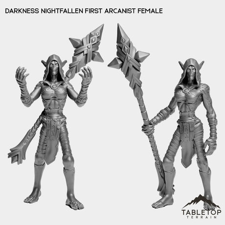 Tabletop Terrain Miniature Full Set Darkness Nightfallen First Arcanist Female