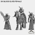 Tabletop Terrain Miniature Full Set DK Blood Elves Female