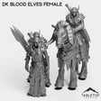 Tabletop Terrain Miniature Full Set DK Blood Elves Female