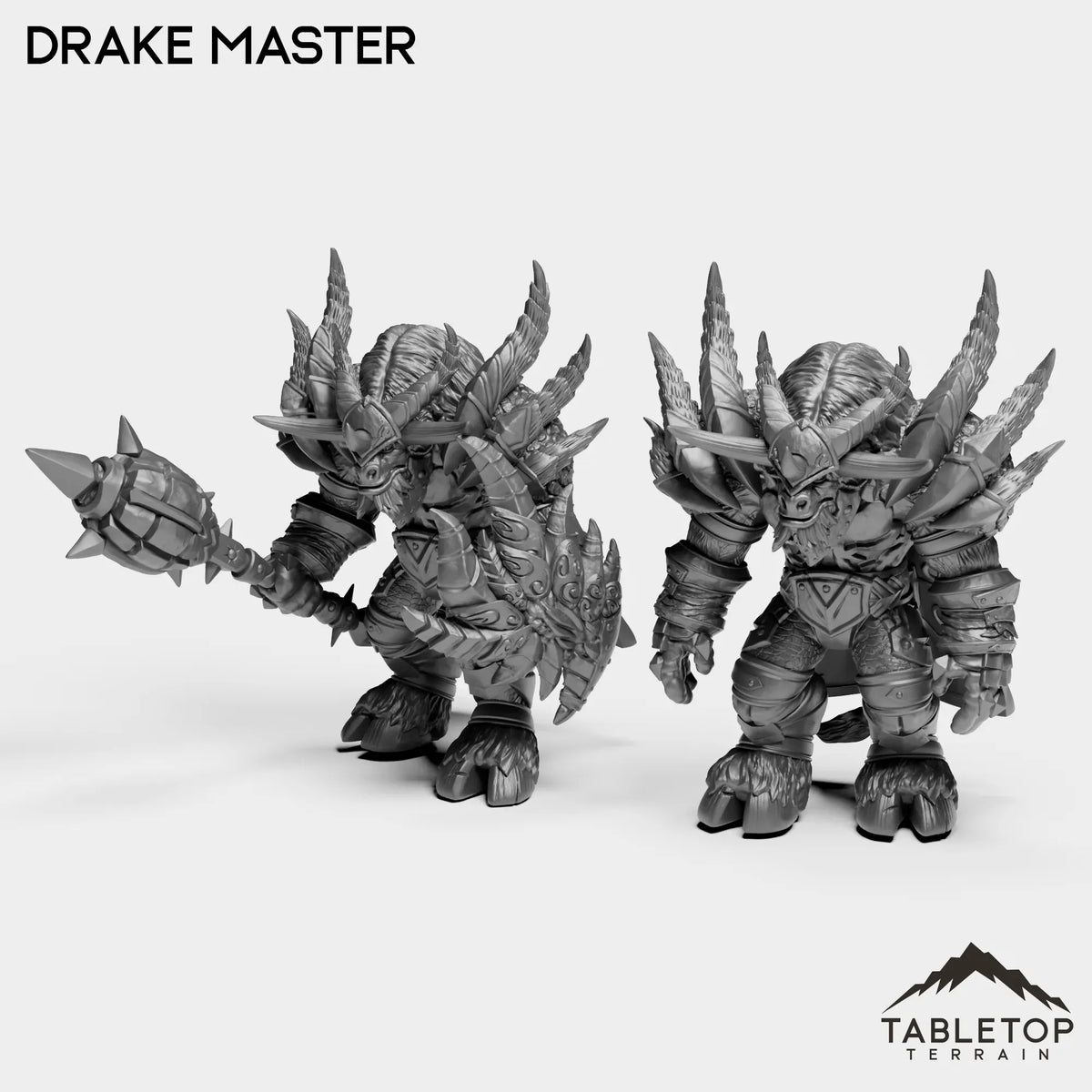 Tabletop Terrain Miniature Full Set Drake Master