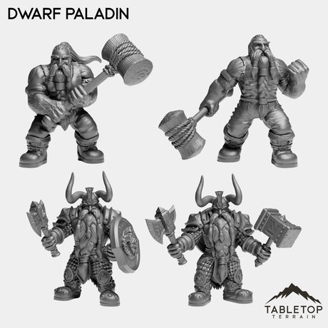 Tabletop Terrain Miniature Full Set Dwarf Paladin