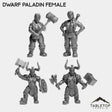 Tabletop Terrain Miniature Full Set Dwarf Paladin Female