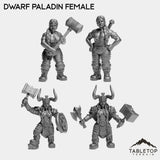 Tabletop Terrain Miniature Full Set Dwarf Paladin Female