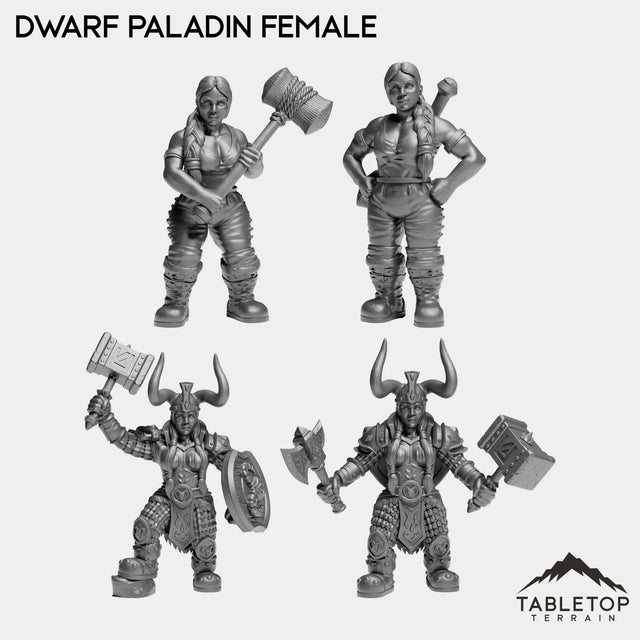 Tabletop Terrain Miniature Full Set Dwarf Paladin Female