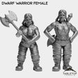 Tabletop Terrain Miniature Full Set Dwarf Warrior Female