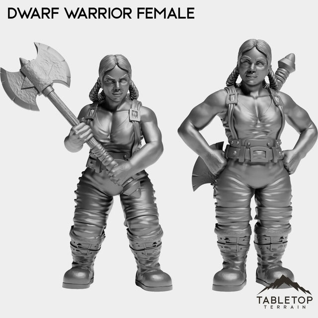 Tabletop Terrain Miniature Full Set Dwarf Warrior Female