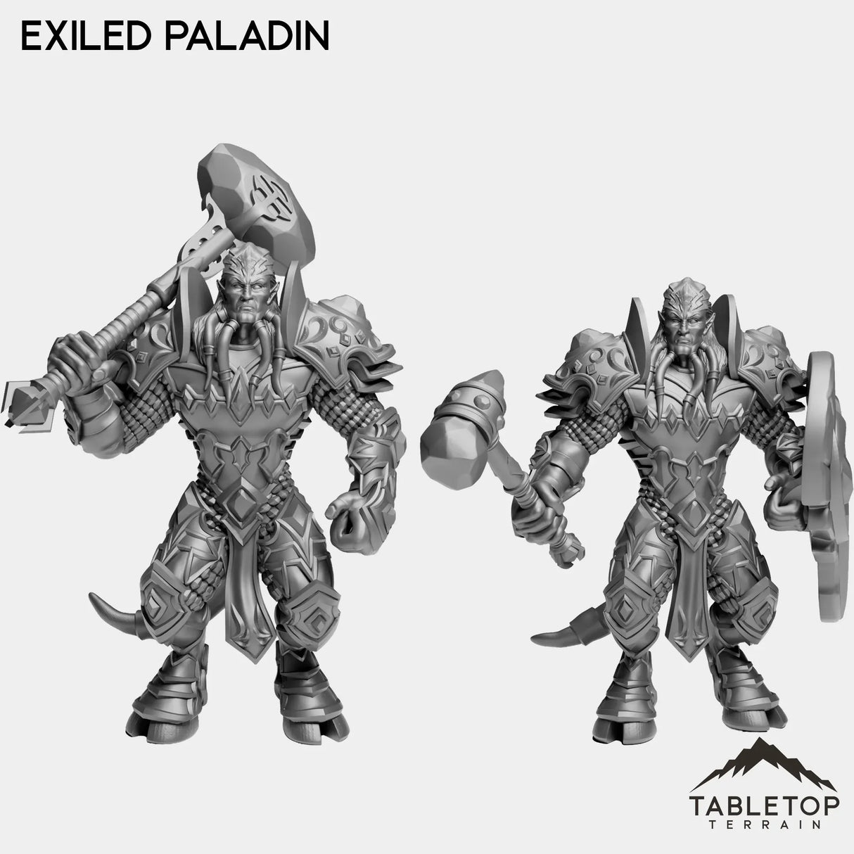 Tabletop Terrain Miniature Full Set Exiled Paladin