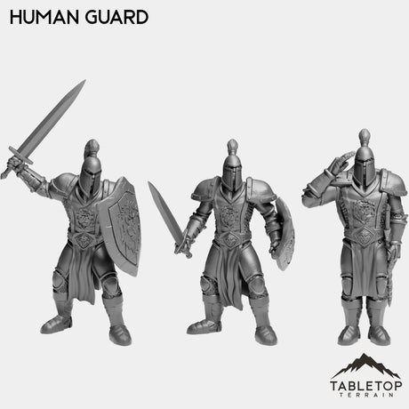 Tabletop Terrain Miniature Full Set Human Guard