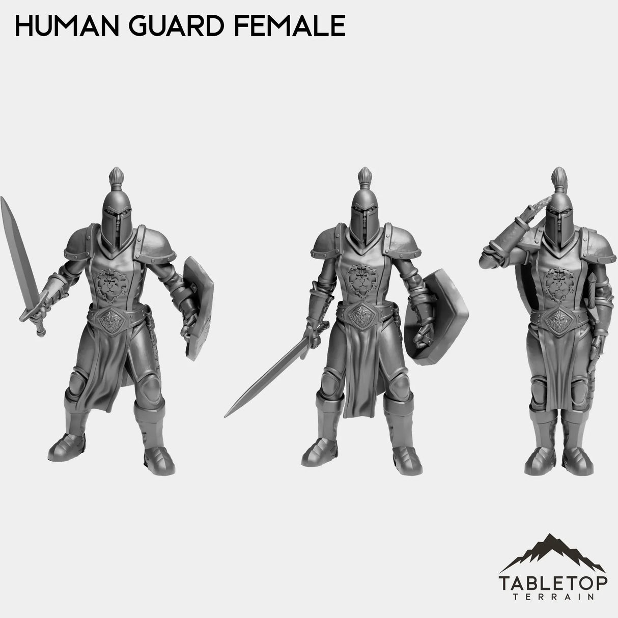 Tabletop Terrain Miniature Full Set Human Guard Female