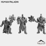 Tabletop Terrain Miniature Full Set Human Paladin
