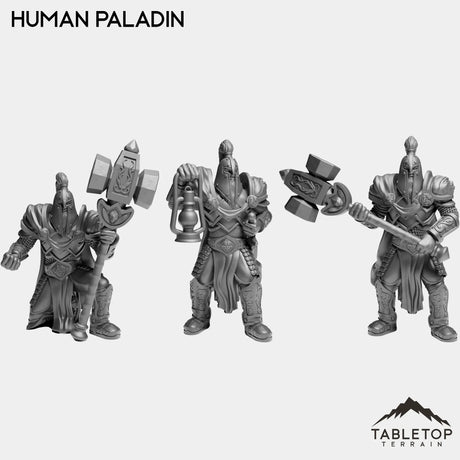 Tabletop Terrain Miniature Full Set Human Paladin