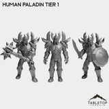 Tabletop Terrain Miniature Full Set Human Paladin Tier 1