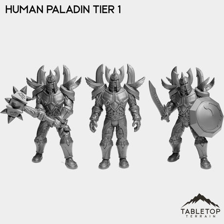 Tabletop Terrain Miniature Full Set Human Paladin Tier 1