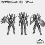 Tabletop Terrain Miniature Full Set Human Paladin Tier 1 Female