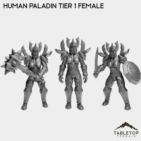 Tabletop Terrain Miniature Full Set Human Paladin Tier 1 Female