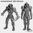 Tabletop Terrain Miniature Full Set Human Rogue Tier 1 Female