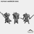 Tabletop Terrain Miniature Full Set Human Warrior King
