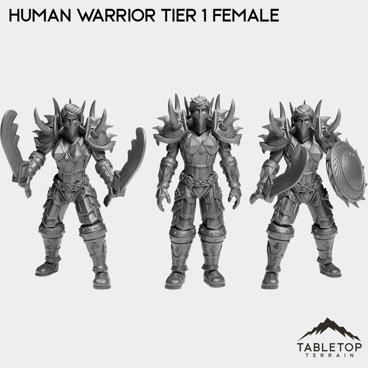 Tabletop Terrain Miniature Full Set Human Warrior Tier 1 Female