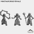 Tabletop Terrain Miniature Full Set Minotaur Druid Female