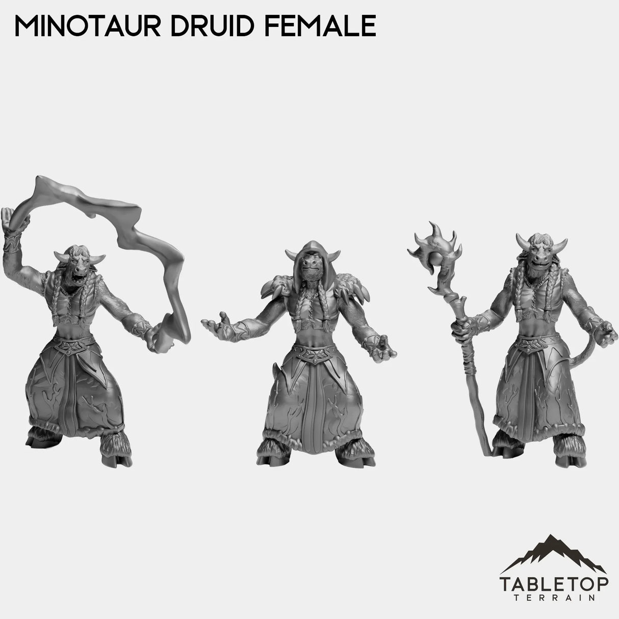 Tabletop Terrain Miniature Full Set Minotaur Druid Female