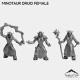 Tabletop Terrain Miniature Full Set Minotaur Druid Female