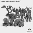 Tabletop Terrain Miniature Full Set Minotaur Druid Forms