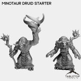Tabletop Terrain Miniature Full Set Minotaur Druid Starter
