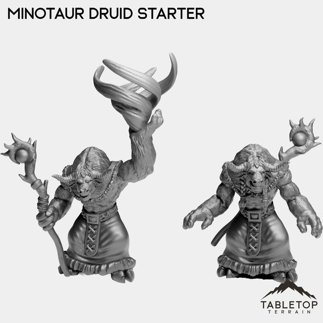 Tabletop Terrain Miniature Full Set Minotaur Druid Starter