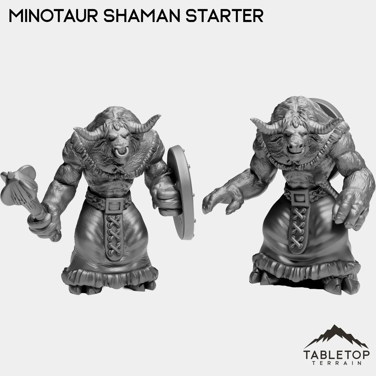 Tabletop Terrain Miniature Full Set Minotaur Shaman Starter