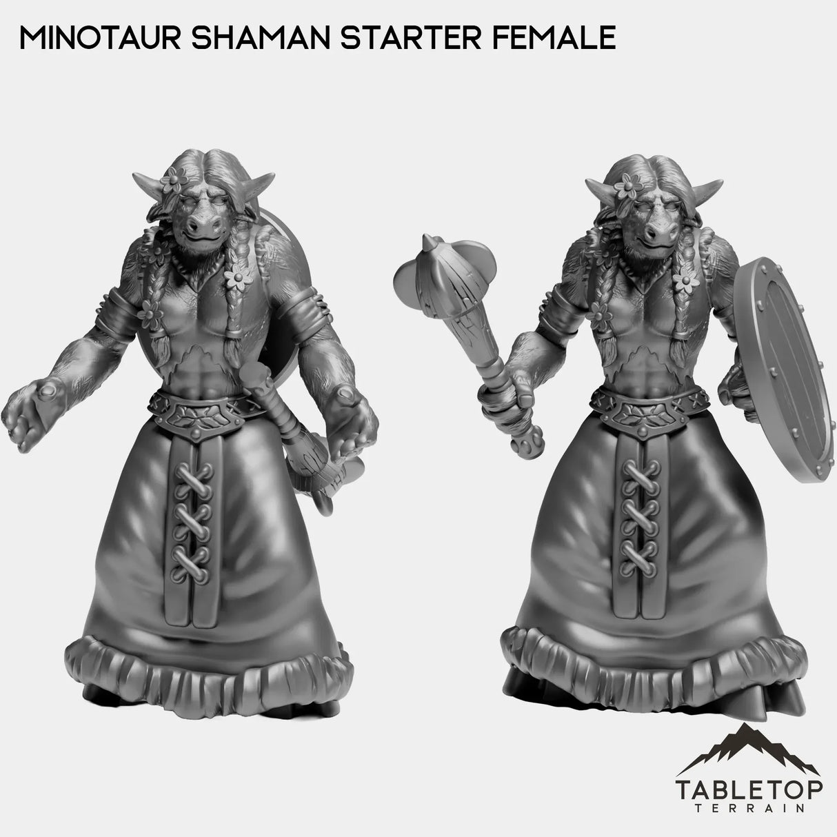Tabletop Terrain Miniature Full Set Minotaur Shaman Starter Female