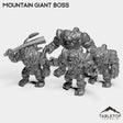 Tabletop Terrain Miniature Full Set Mountain Giant Boss