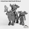 Tabletop Terrain Miniature Full Set Mountain Minotaur Female