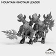 Tabletop Terrain Miniature Full Set Mountain Minotaur Leader