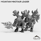 Tabletop Terrain Miniature Full Set Mountain Minotaur Leader